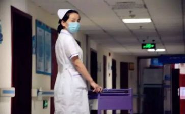 护士下年度工作计划最新8篇