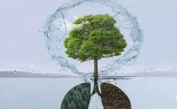 呼吸科年度总结5篇