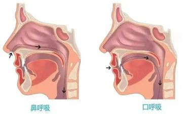 呼吸科自我鉴定5篇
