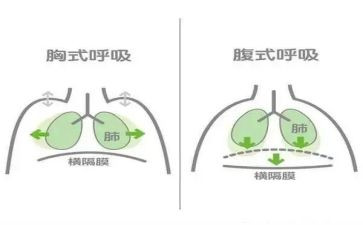呼吸科的工作总结7篇