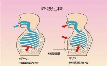 呼吸内科的自我鉴定5篇
