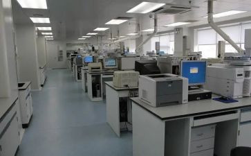 检测工作年终工作总结7篇