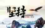 赢在坚持作文800字7篇