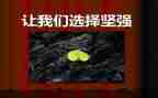 树的坚强作文优秀6篇