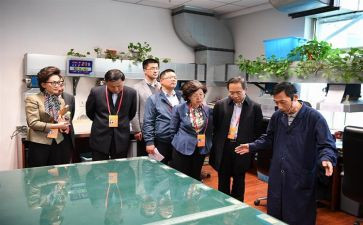 2024村监委会工作总结模板8篇