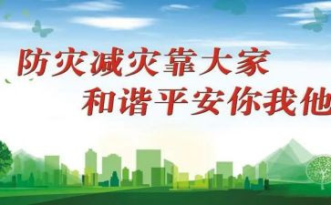 小学防灾减灾活动方案7篇