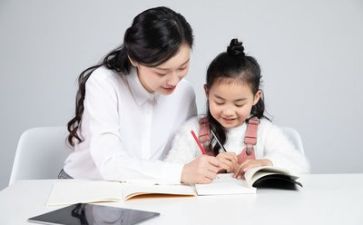 年度教师工作总结个人总结6篇