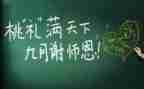 教师个人总结2024简短范文优质7篇