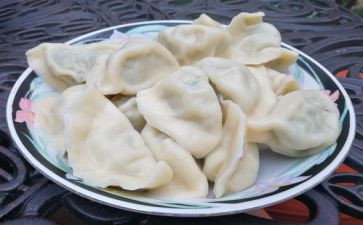 捏饺子的心得体会6篇