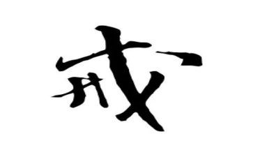 以案为戒警示教育心得体会模板8篇