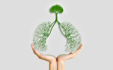 结核病宣传工作总结5篇