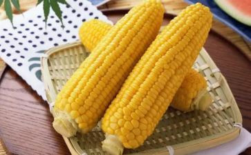 收玉米的教案8篇