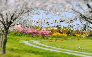 季节作文500字8篇