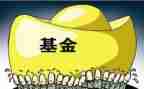 医保基金的自查报告6篇