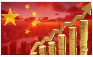 经济案调查报告6篇