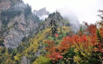 24节气的心得体会8篇