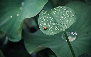24节气歌的心得体会5篇