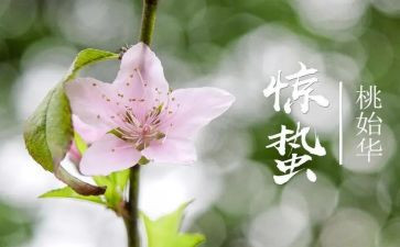 幼儿园惊蛰的教案5篇