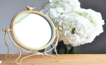 擦镜子的教案推荐6篇