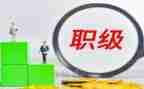 医生职称晋升工作总结6篇