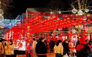大集市作文5篇