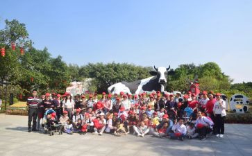 幼儿园集体活动方案6篇