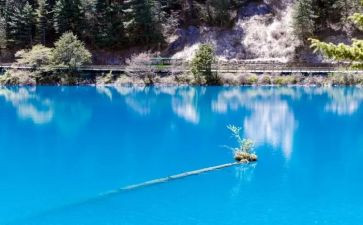 美丽九寨沟作文精选5篇