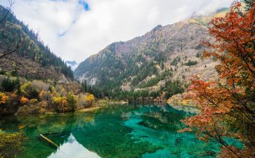 美丽九寨沟作文模板7篇