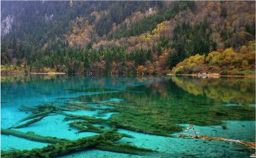 去九寨沟旅游的心得体会6篇