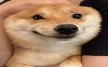 开心的笑作文500字作文最新8篇