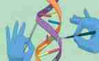 汽修科学生自我鉴定5篇