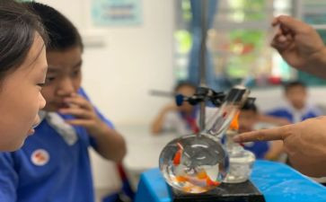 学前科学课教案优秀6篇
