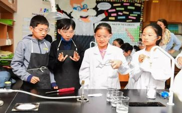 科学课心得体会参考7篇