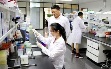 个人科研工作总结8篇
