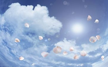 空气被污染的调查报告范文5篇