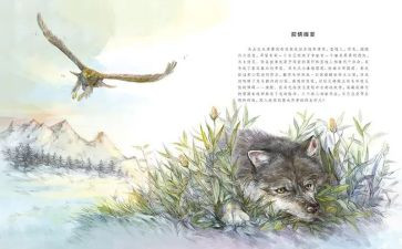 狼王梦的读后感800字6篇