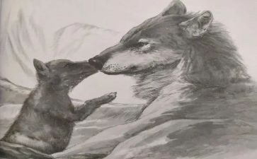 《狼王梦》读后感模板5篇