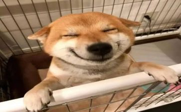 音乐实习鉴定表自我鉴定通用7篇