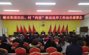 村两委成员述职报告6篇