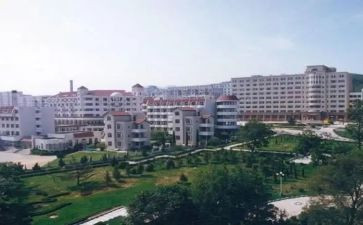辽师团委工作计划5篇