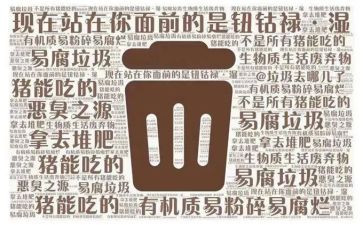 社会垃圾分类教案推荐7篇