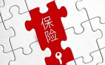 保险理赔年终总结8篇