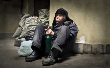 喂流浪狗的作文模板5篇