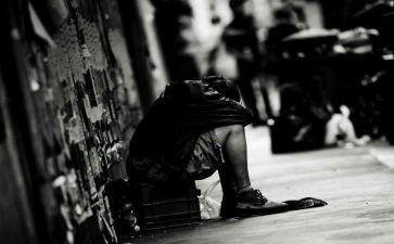 喂流浪猫的作文7篇