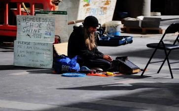 喂流浪狗的作文参考5篇