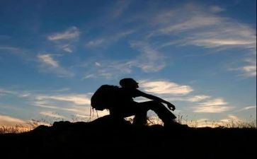 流浪作文600字5篇