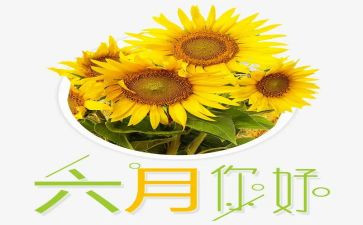 幼儿园六月份工作总结参考7篇