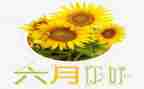 幼儿园六月份工作总结参考7篇