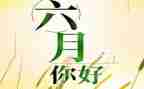 六月份的工作总结参考5篇