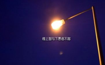 读励志心得体会模板5篇
